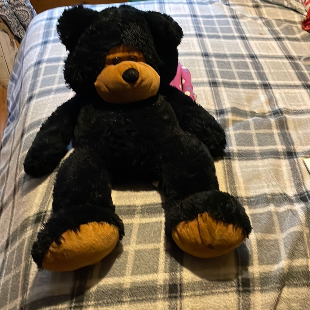 I’m selling a stuff teddy bear